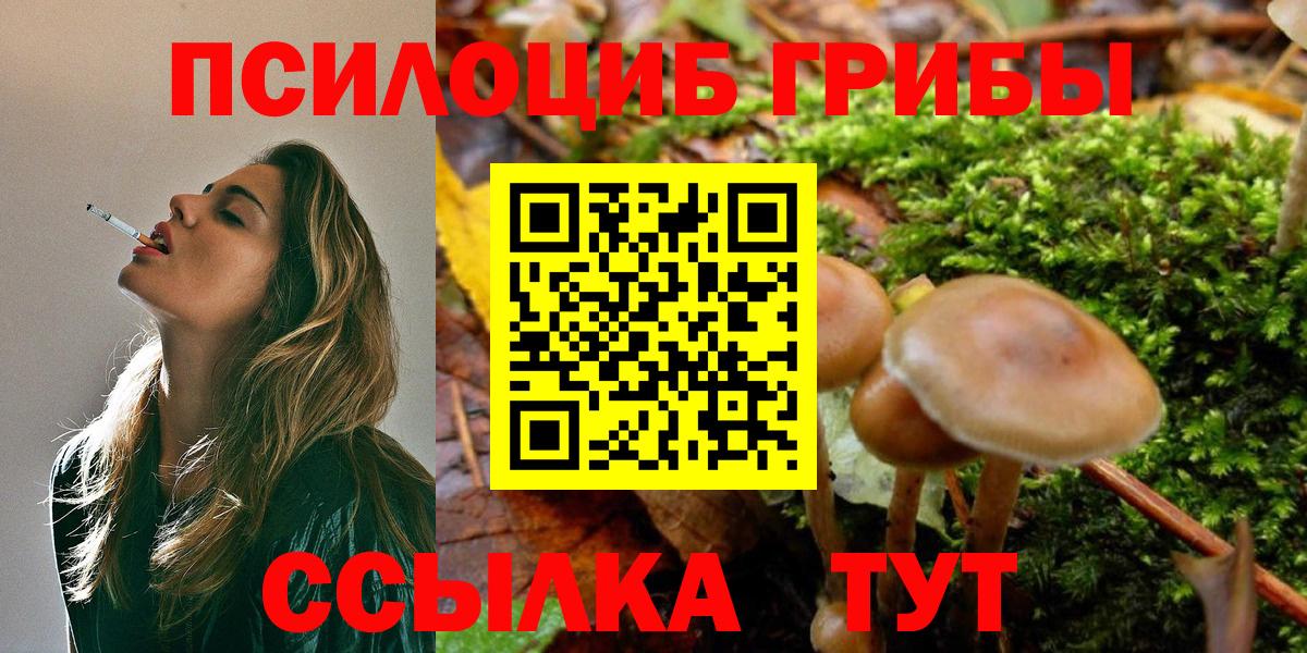 Псилоцибиновые грибы MAGIC MUSHROOMS  Вход с VPN  как найти закладки  Псилоцибиновые грибы мухоморы  Киров 